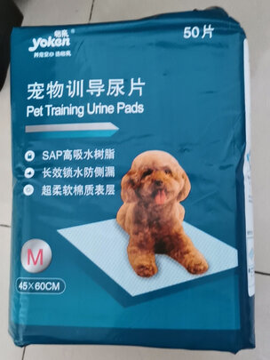 宠物纸尿裤