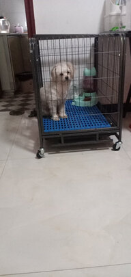  狗笼