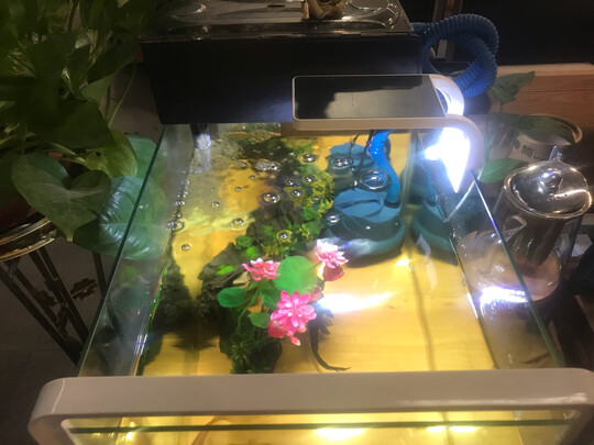 鱼缸水草灯
