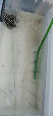 鱼缸净水剂
