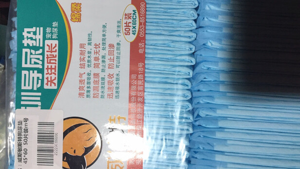 宠物纸尿裤