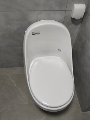 %title插图%num 德国自高(ZIGAO)马桶坐便器家用大口径大冲力虹吸节水静音防臭个性蛋型座便器脲醛黑白色盖板陶瓷马桶 【1060升级】雅白250/300/350/400