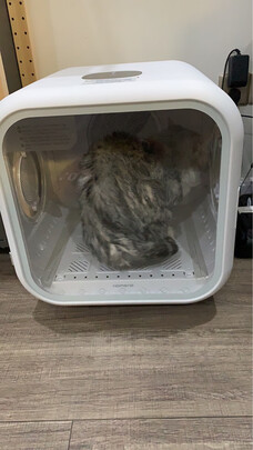  宠物烘干箱
