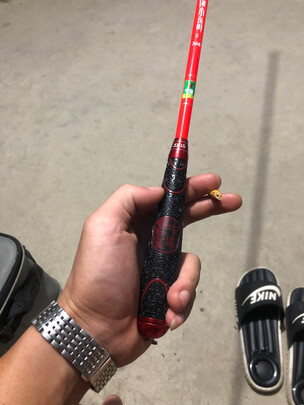 评测解析武汉天元特作千川鲤二代怎么样?跟踪报道事实!
