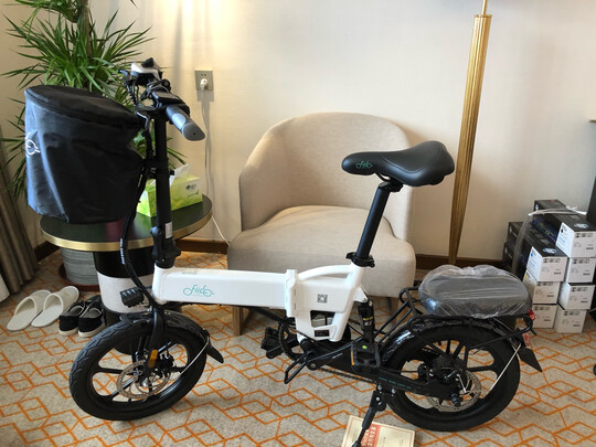 fiido飞道折叠电动车自行车代驾成人助力电瓶车小型电车代步双刃侣