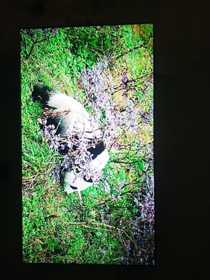 TCL电视75T8G质量测评好不好