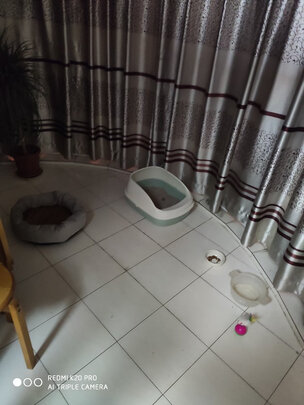 猫砂盆