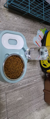 猫碗狗碗