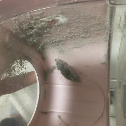 吸尘器|用户揭秘美的B5J吸尘器好吗,入手解密评测真相