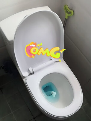 马桶盖
