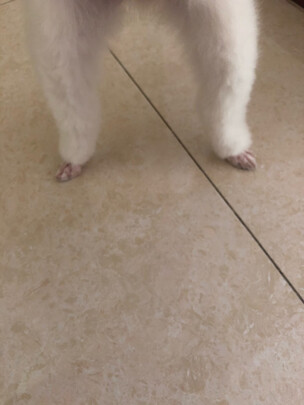 狗狗剃毛器