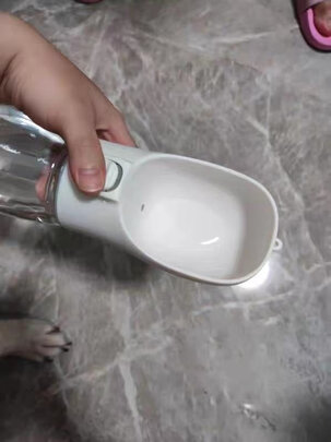 宠物水壶