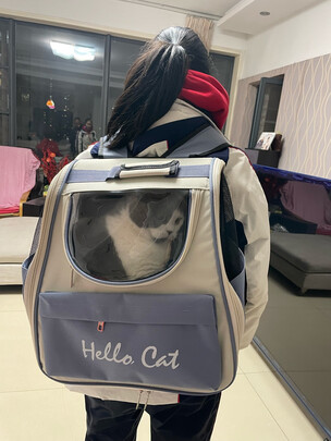 猫包