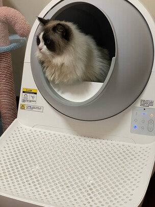 猫砂铲