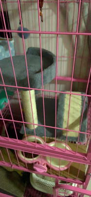 猫爬架
