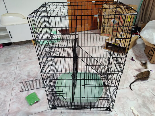  猫笼