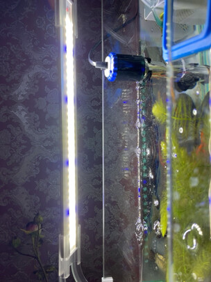 鱼缸灯led灯