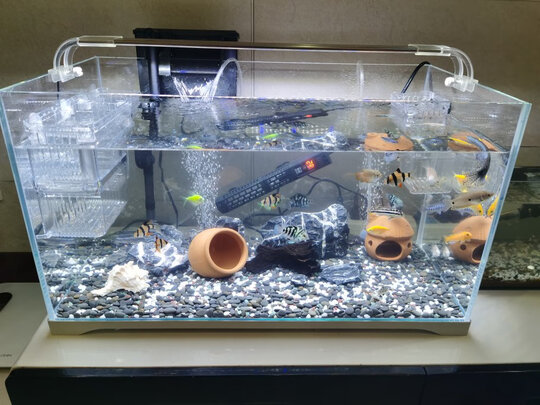 鱼缸过滤器