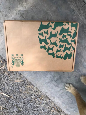 狗粮