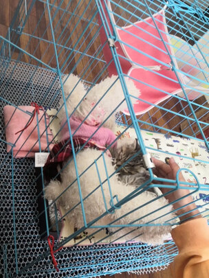 猫笼