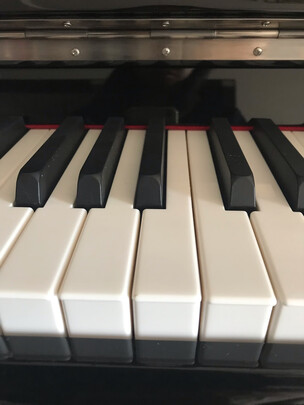 珠江钢琴珠江钢琴里特米勒|珠江钢琴珠江钢琴里特米勒J1怎么样？内幕使用评测揭秘