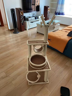猫爬架