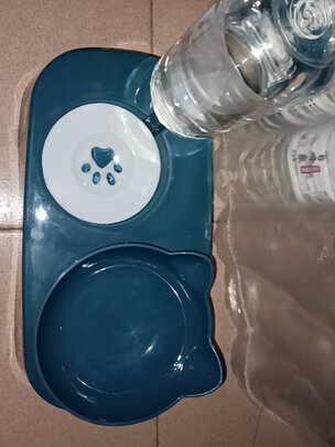 猫碗狗碗