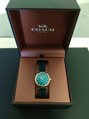 手表|蔻驰14503534手表怎么样？亲身体验告知你实情！