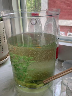 桌面鱼缸