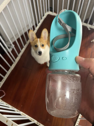 宠物水壶