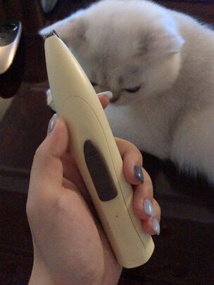  猫咪剃脚毛器