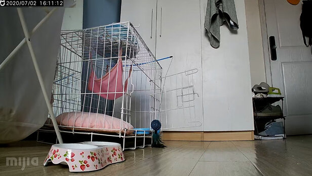 猫笼