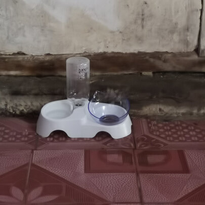 宠物饮水机
