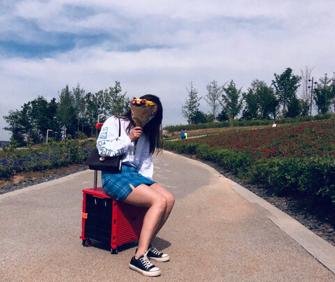 折叠行李车