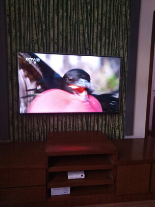 TCL55V6质量诉说体验后讲一讲感受