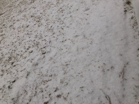 汽车香水