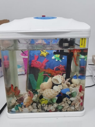 桌面鱼缸