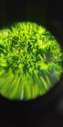 NOLOX1|[用户爆料]NOLO X1 4K VR一体机怎么样?用后一周说体验真相？