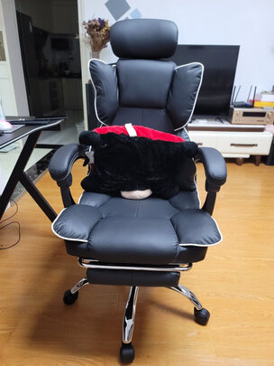 人体工学椅