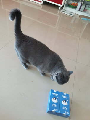 猫条猫零食