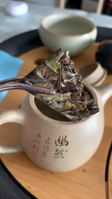 白茶