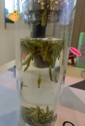峨眉高山绿茶
