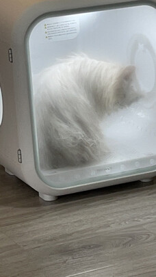  宠物烘干箱