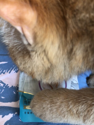 猫零食