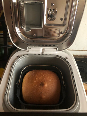 松下SD-WTP1001面包机优缺点详解分析爆料,图文报告评测