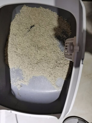 豆腐猫砂