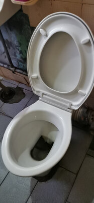 马桶盖