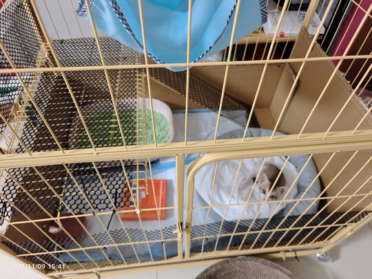 猫笼
