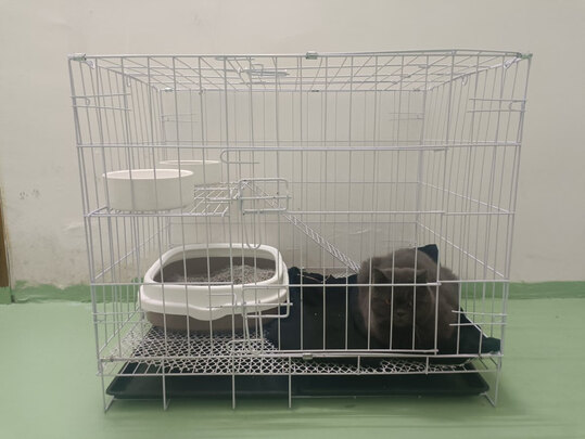 猫笼