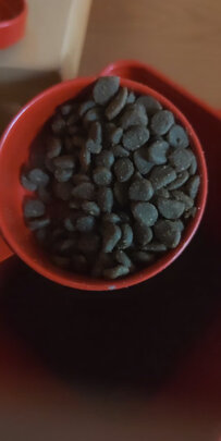 猫粮
